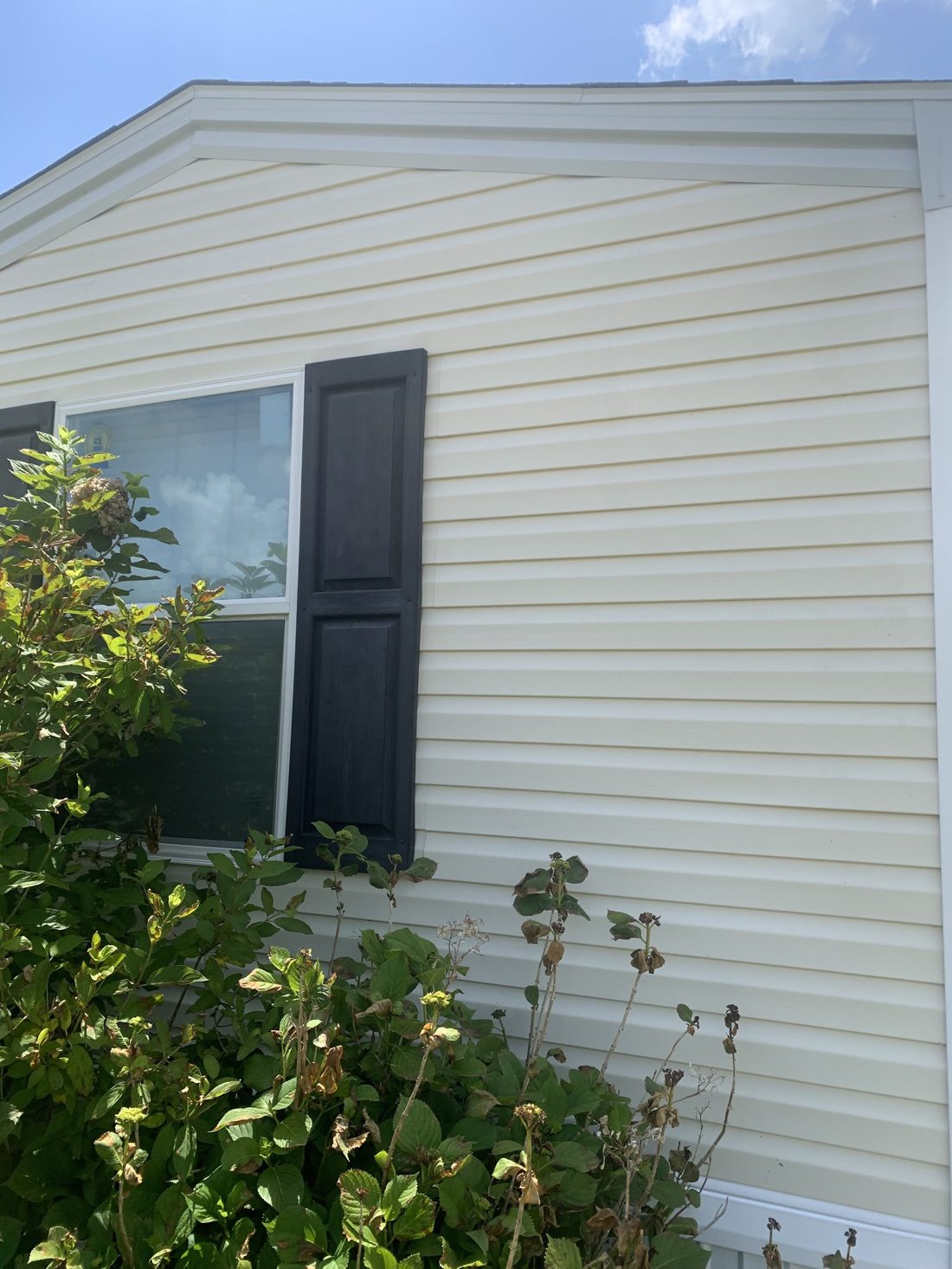 Cleaned vinyl siding on the gable end of a home
