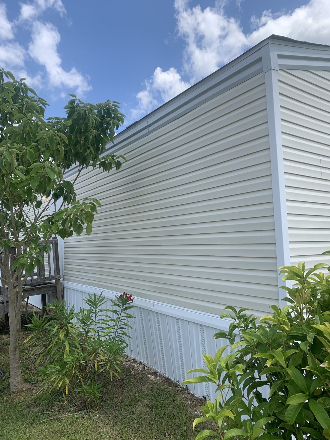 Washed siding on the corner of a home beside a tree